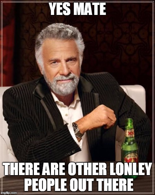 The Most Interesting Man In The World Meme | YES MATE THERE ARE OTHER LONLEY PEOPLE OUT THERE | image tagged in memes,the most interesting man in the world | made w/ Imgflip meme maker