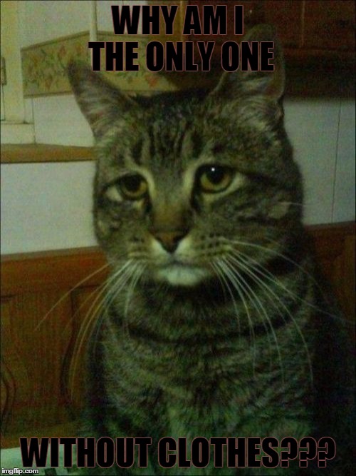 Depressed Cat | WHY AM I THE ONLY ONE WITHOUT CLOTHES??? | image tagged in memes,depressed cat | made w/ Imgflip meme maker