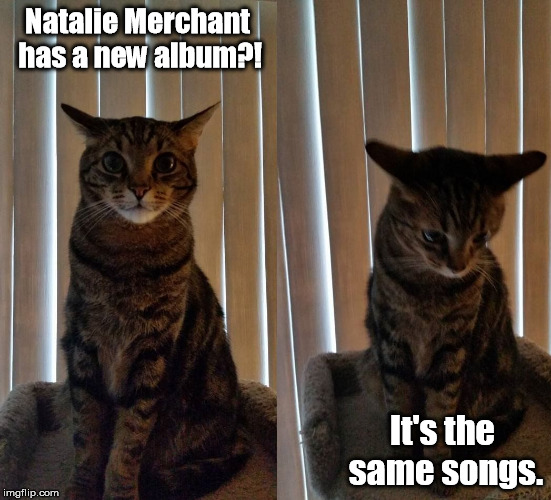 Natalie Merchant has a new album?! It's the same songs. | image tagged in disapointed kitty | made w/ Imgflip meme maker