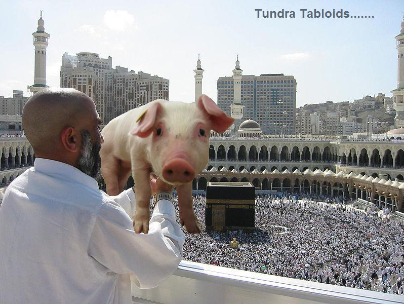 High Quality Muslims are pigs Blank Meme Template