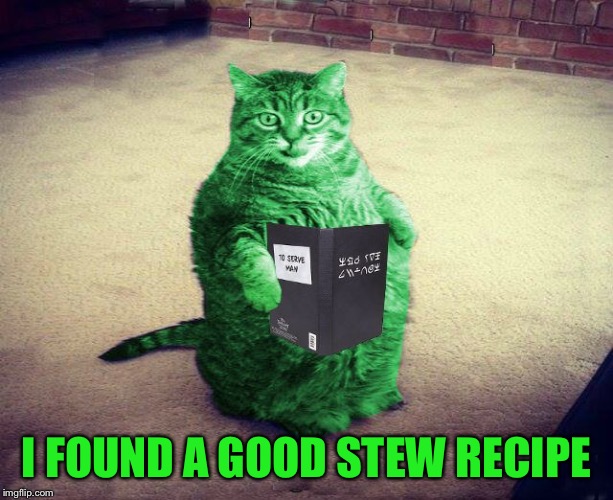 Best RayCat Meme Eva | I FOUND A GOOD STEW RECIPE | image tagged in best raycat meme eva | made w/ Imgflip meme maker