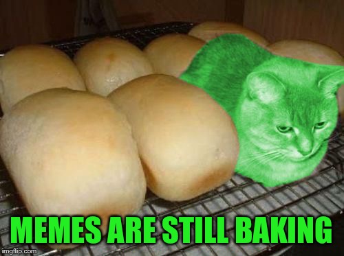 Loaf RayCat | MEMES ARE STILL BAKING | image tagged in loaf raycat | made w/ Imgflip meme maker