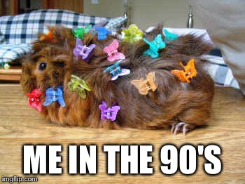 Me in the 90's | ME IN THE 90'S | image tagged in butterflyclips,90's,me,animals,tootrue | made w/ Imgflip meme maker