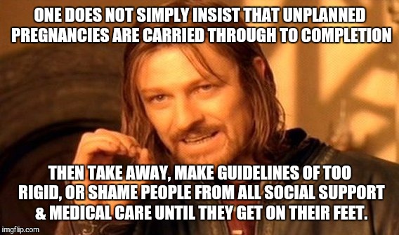 One Does Not Simply Meme | ONE DOES NOT SIMPLY INSIST THAT UNPLANNED PREGNANCIES ARE CARRIED THROUGH TO COMPLETION THEN TAKE AWAY, MAKE GUIDELINES OF TOO RIGID, OR SHA | image tagged in memes,one does not simply | made w/ Imgflip meme maker