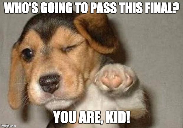Winking Dog | WHO'S GOING TO PASS THIS FINAL? YOU ARE, KID! | image tagged in winking dog | made w/ Imgflip meme maker