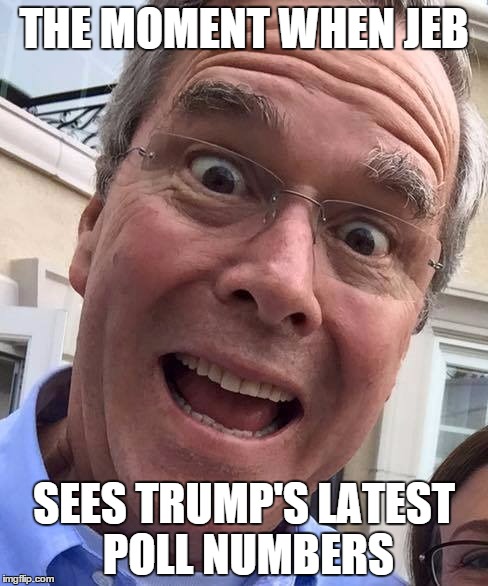 THE MOMENT WHEN JEB SEES TRUMP'S LATEST POLL NUMBERS | image tagged in jeb | made w/ Imgflip meme maker