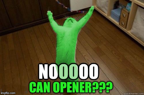 RayCat Noooooo | CAN OPENER??? | image tagged in raycat noooooo | made w/ Imgflip meme maker