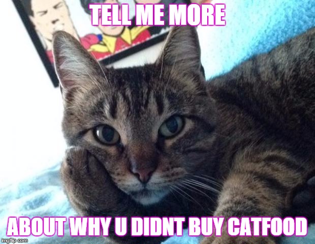 Tell me more cat | TELL ME MORE ABOUT WHY U DIDNT BUY CATFOOD | image tagged in tell me more cat | made w/ Imgflip meme maker