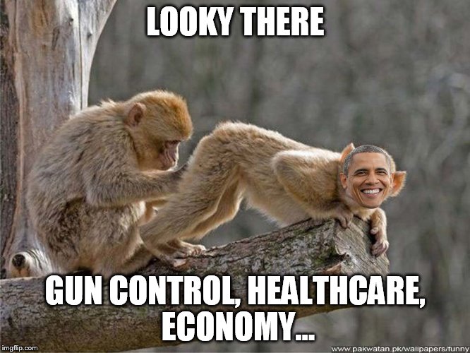 LOOKY THERE GUN CONTROL, HEALTHCARE, ECONOMY... | made w/ Imgflip meme maker
