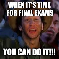 You Can Do It! | WHEN IT'S TIME FOR FINAL EXAMS YOU CAN DO IT!!! | image tagged in you can do it | made w/ Imgflip meme maker