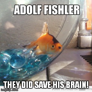Nazi Gold | THEY DID SAVE HIS BRAIN! | image tagged in nazi,fish | made w/ Imgflip meme maker