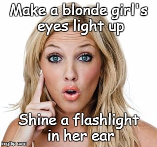 Two countries divided by a common language | Make a blonde girl's eyes light up Shine a flashlight in her ear | image tagged in dumb blonde,you say tomato | made w/ Imgflip meme maker