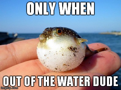 ONLY WHEN OUT OF THE WATER DUDE | made w/ Imgflip meme maker