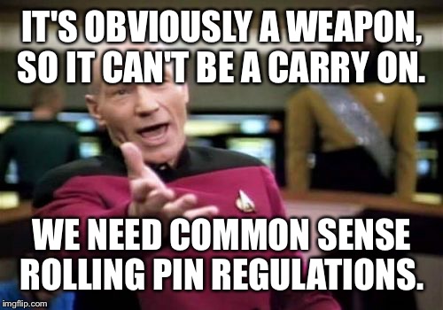 Picard Wtf Meme | IT'S OBVIOUSLY A WEAPON, SO IT CAN'T BE A CARRY ON. WE NEED COMMON SENSE ROLLING PIN REGULATIONS. | image tagged in memes,picard wtf | made w/ Imgflip meme maker