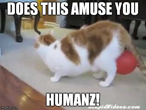 DOES THIS AMUSE YOU HUMANZ! | made w/ Imgflip meme maker