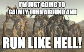 I'M JUST GOING TO CALMLY TURN AROUND AND RUN LIKE HELL! | image tagged in fallout 3,deathclaw,meeting your first deathclaw | made w/ Imgflip meme maker