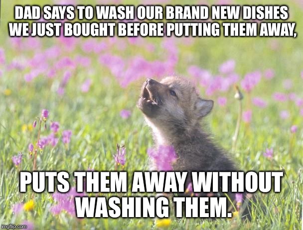 Baby Insanity Wolf Meme | DAD SAYS TO WASH OUR BRAND NEW DISHES WE JUST BOUGHT BEFORE PUTTING THEM AWAY, PUTS THEM AWAY WITHOUT WASHING THEM. | image tagged in memes,baby insanity wolf | made w/ Imgflip meme maker