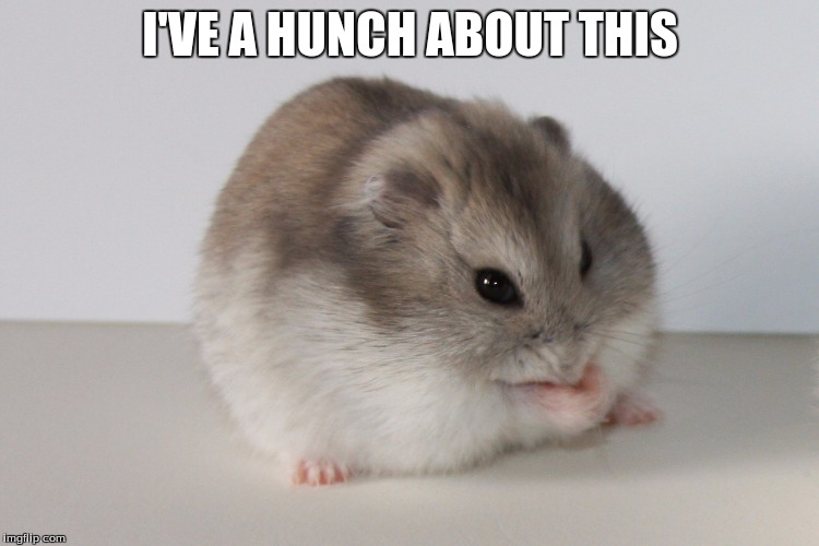 I have my hunches hamster | I'VE A HUNCH ABOUT THIS | image tagged in i have my hunches hamster,bad puns,funny animals | made w/ Imgflip meme maker