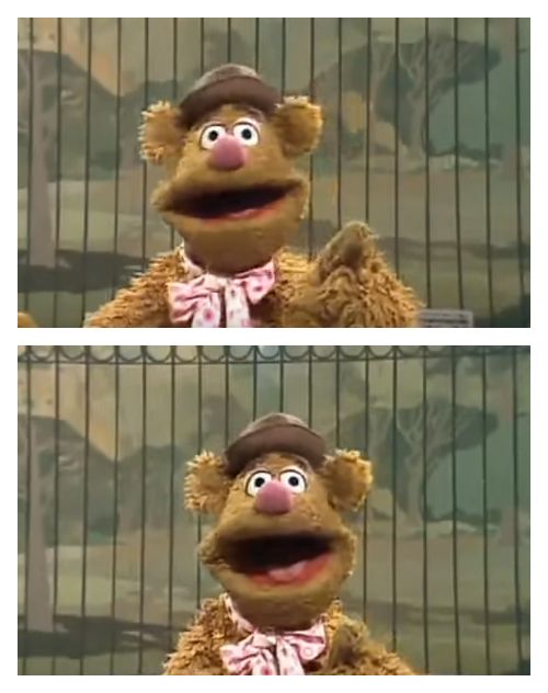 High Quality Fozzie Bear jokes Blank Meme Template