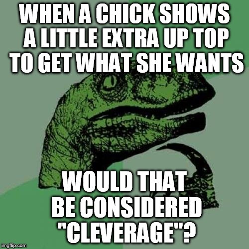 wordsmithing | WHEN A CHICK SHOWS A LITTLE EXTRA UP TOP TO GET WHAT SHE WANTS WOULD THAT BE CONSIDERED "CLEVERAGE"? | image tagged in memes,philosoraptor,funny | made w/ Imgflip meme maker