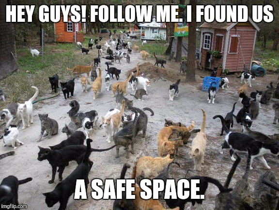 HEY GUYS! FOLLOW ME. I FOUND US A SAFE SPACE. | made w/ Imgflip meme maker