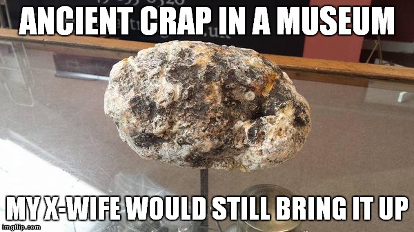 ANCIENT CRAP IN A MUSEUM MY X-WIFE WOULD STILL BRING IT UP | made w/ Imgflip meme maker