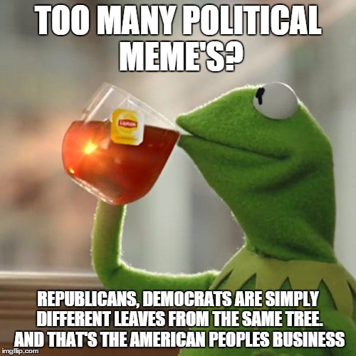 But That's None Of My Business | TOO MANY POLITICAL MEME'S? REPUBLICANS, DEMOCRATS ARE SIMPLY DIFFERENT LEAVES FROM THE SAME TREE. AND THAT'S THE AMERICAN PEOPLES BUSINESS | image tagged in memes,but thats none of my business,kermit the frog | made w/ Imgflip meme maker