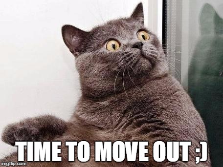 surprised cat | TIME TO MOVE OUT ;) | image tagged in surprised cat | made w/ Imgflip meme maker