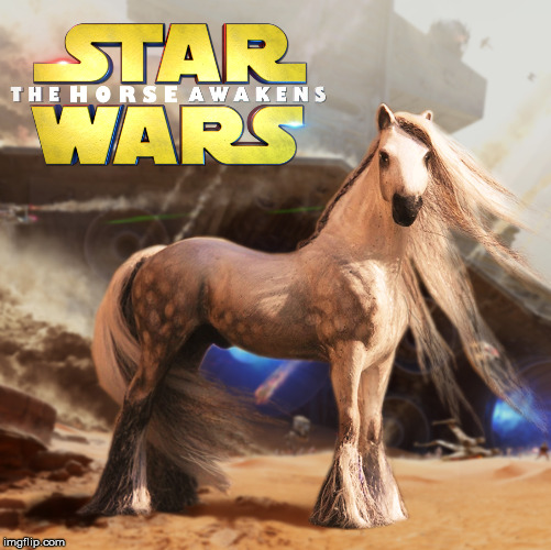 Battle of Jakku, Horse Awakens | image tagged in funny | made w/ Imgflip meme maker