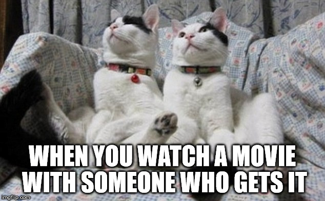 Movie Night | WHEN YOU WATCH A MOVIE WITH SOMEONE WHO GETS IT | image tagged in touch,cats,movies,friends | made w/ Imgflip meme maker