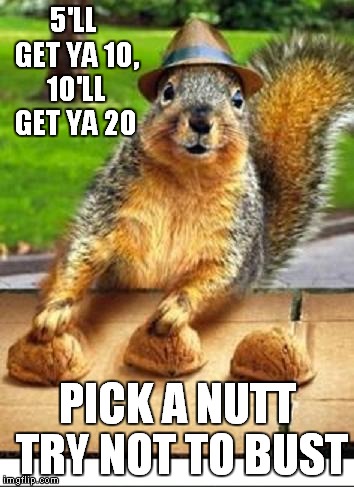 Better chance than stocks | 5'LL GET YA 10, 10'LL GET YA 20 PICK A NUTT TRY NOT TO BUST | image tagged in squirrel nuts,gambling | made w/ Imgflip meme maker