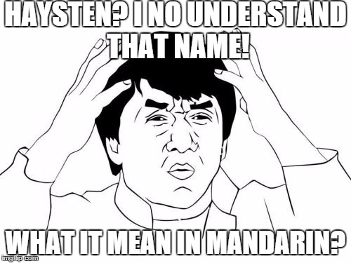 Jackie Chan WTF | HAYSTEN? I NO UNDERSTAND THAT NAME! WHAT IT MEAN IN MANDARIN? | image tagged in memes,jackie chan wtf | made w/ Imgflip meme maker