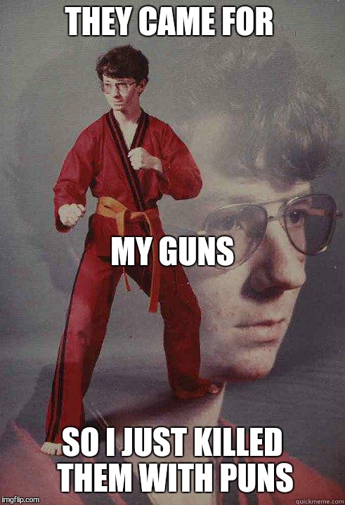 Seems like a pro-gun crowd here on Imgflip | THEY CAME FOR SO I JUST KILLED THEM WITH PUNS MY GUNS | image tagged in karatekyle | made w/ Imgflip meme maker