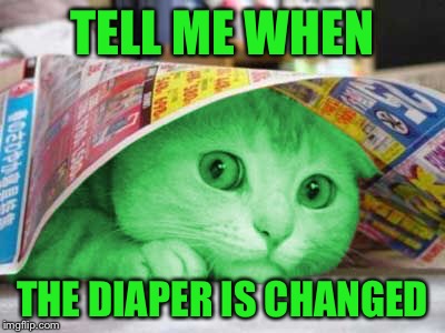 RayCat Scared | TELL ME WHEN THE DIAPER IS CHANGED | image tagged in raycat scared | made w/ Imgflip meme maker