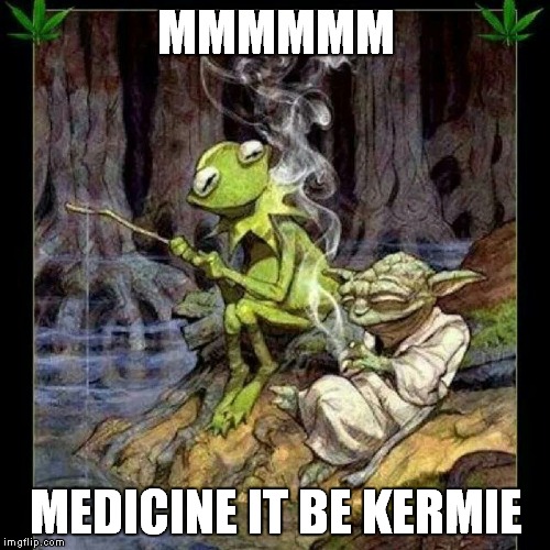 MMMMMM MEDICINE IT BE KERMIE | made w/ Imgflip meme maker