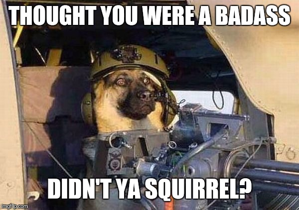 Door Gunner Dog | THOUGHT YOU WERE A BADASS DIDN'T YA SQUIRREL? | image tagged in door gunner dog | made w/ Imgflip meme maker