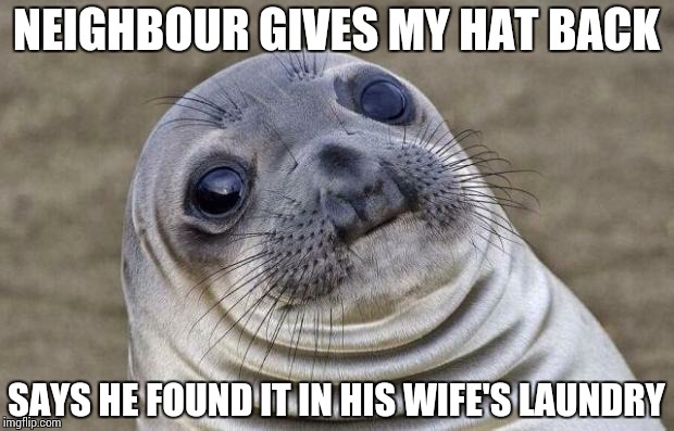 I've been rumbled | NEIGHBOUR GIVES MY HAT BACK SAYS HE FOUND IT IN HIS WIFE'S LAUNDRY | image tagged in memes,awkward moment sealion | made w/ Imgflip meme maker