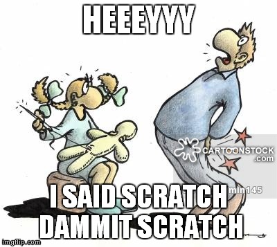 HEEEYYY I SAID SCRATCH DAMMIT SCRATCH | made w/ Imgflip meme maker