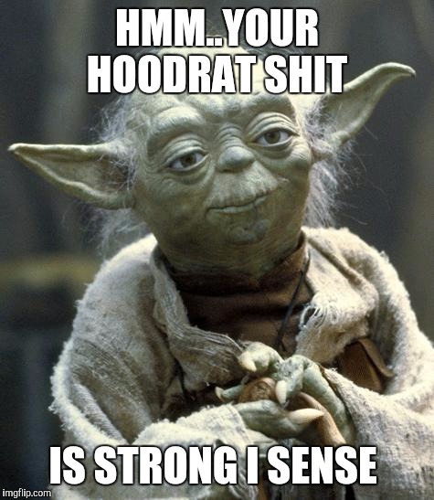yoda | HMM..YOUR HOODRAT SHIT IS STRONG I SENSE | image tagged in yoda | made w/ Imgflip meme maker