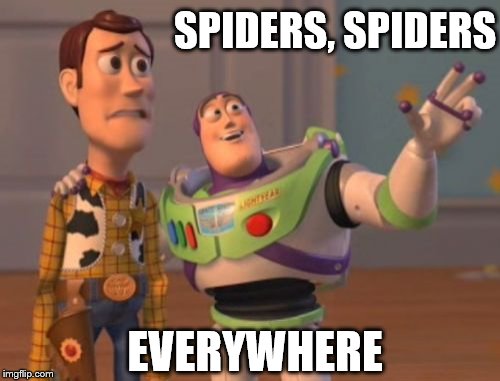 X, X Everywhere | SPIDERS, SPIDERS EVERYWHERE | image tagged in memes,x x everywhere | made w/ Imgflip meme maker