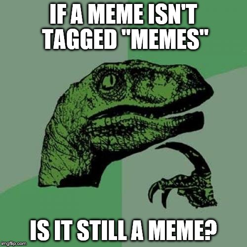 Philosoraptor Meme | IF A MEME ISN'T TAGGED "MEMES" IS IT STILL A MEME? | image tagged in memes,philosoraptor | made w/ Imgflip meme maker