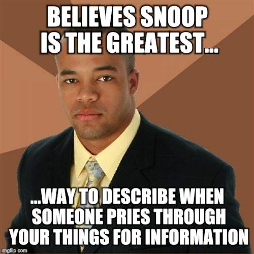 Successful Black Man Meme | BELIEVES SNOOP IS THE GREATEST... ...WAY TO DESCRIBE WHEN SOMEONE PRIES THROUGH YOUR THINGS FOR INFORMATION | image tagged in memes,successful black man | made w/ Imgflip meme maker