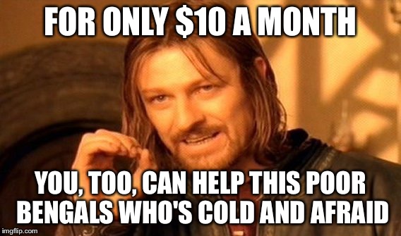 One Does Not Simply Meme | FOR ONLY $10 A MONTH YOU, TOO, CAN HELP THIS POOR BENGALS WHO'S COLD AND AFRAID | image tagged in memes,one does not simply | made w/ Imgflip meme maker