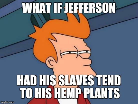 Futurama Fry | WHAT IF JEFFERSON HAD HIS SLAVES TEND TO HIS HEMP PLANTS | image tagged in memes,futurama fry | made w/ Imgflip meme maker