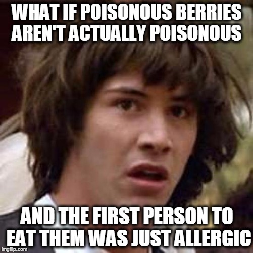 Conspiracy Keanu | WHAT IF POISONOUS BERRIES AREN'T ACTUALLY POISONOUS AND THE FIRST PERSON TO EAT THEM WAS JUST ALLERGIC | image tagged in memes,conspiracy keanu | made w/ Imgflip meme maker