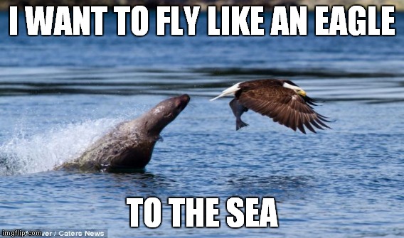 I WANT TO FLY LIKE AN EAGLE TO THE SEA | made w/ Imgflip meme maker