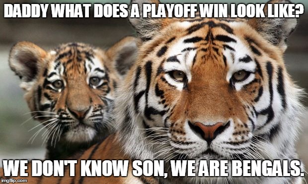 tigers bullpen with real tigers | DADDY WHAT DOES A PLAYOFF WIN LOOK LIKE? WE DON'T KNOW SON, WE ARE BENGALS. | image tagged in tigers bullpen with real tigers | made w/ Imgflip meme maker
