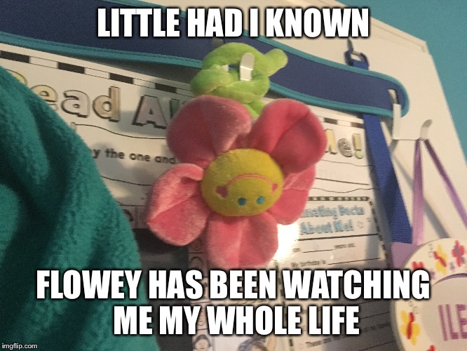 Flowey | LITTLE HAD I KNOWN FLOWEY HAS BEEN WATCHING ME MY WHOLE LIFE | image tagged in flowey,undertale,my whole life | made w/ Imgflip meme maker