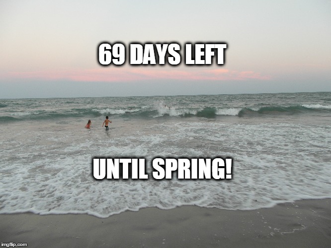 spring | 69 DAYS LEFT UNTIL SPRING! | image tagged in spring | made w/ Imgflip meme maker