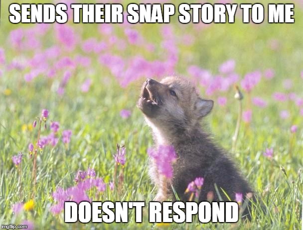 Baby Insanity Wolf Meme | SENDS THEIR SNAP STORY TO ME DOESN'T RESPOND | image tagged in memes,baby insanity wolf,AdviceAnimals | made w/ Imgflip meme maker